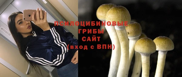спиды Осташков