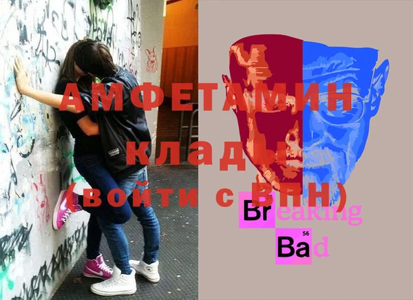 тгк Ивангород
