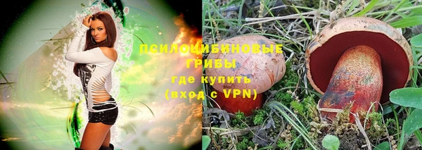 тгк Ивангород
