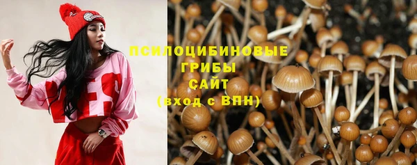 спиды Осташков